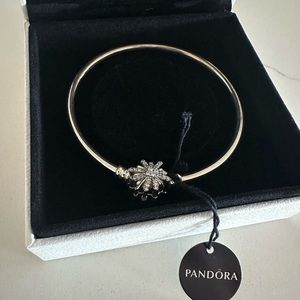 Brand New Pandora Bracelet
